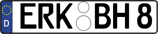 ERK-BH8