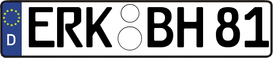 ERK-BH81