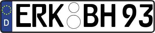 ERK-BH93