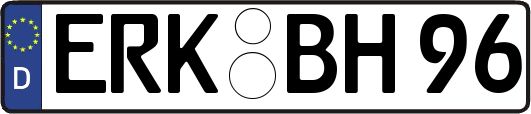 ERK-BH96