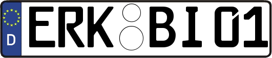ERK-BI01