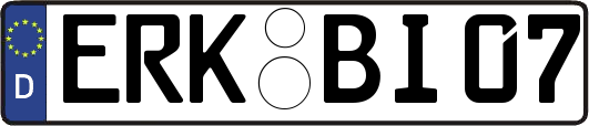 ERK-BI07