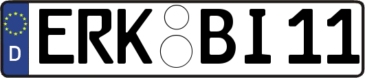ERK-BI11