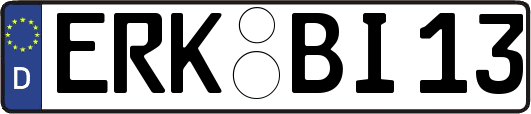 ERK-BI13