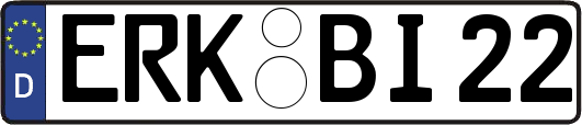 ERK-BI22