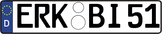 ERK-BI51