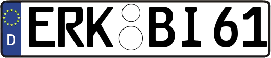 ERK-BI61