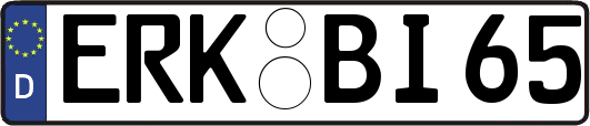 ERK-BI65