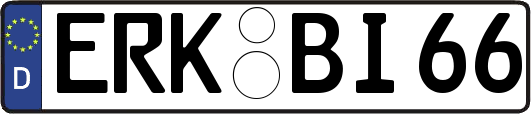 ERK-BI66