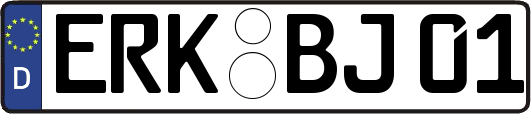 ERK-BJ01
