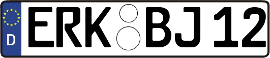 ERK-BJ12