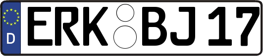 ERK-BJ17
