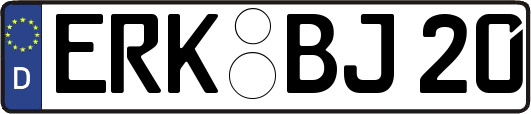 ERK-BJ20