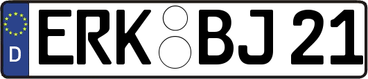 ERK-BJ21