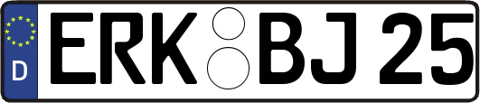 ERK-BJ25