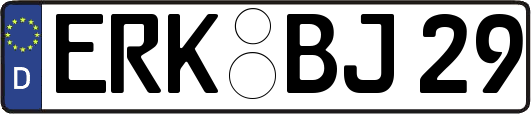 ERK-BJ29