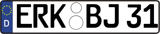 ERK-BJ31