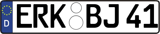 ERK-BJ41