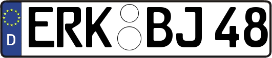 ERK-BJ48