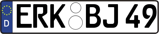 ERK-BJ49