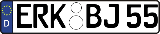 ERK-BJ55