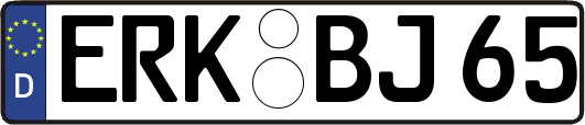 ERK-BJ65