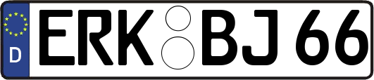 ERK-BJ66