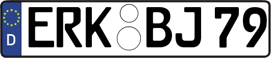 ERK-BJ79