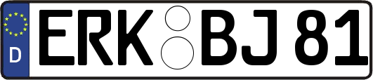 ERK-BJ81