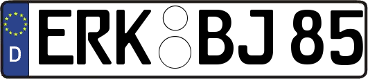 ERK-BJ85