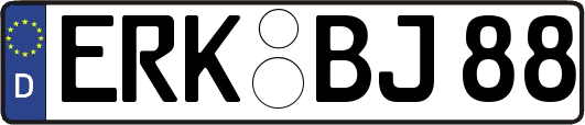 ERK-BJ88