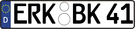 ERK-BK41