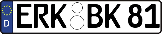 ERK-BK81