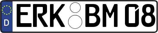 ERK-BM08