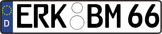 ERK-BM66