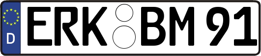 ERK-BM91