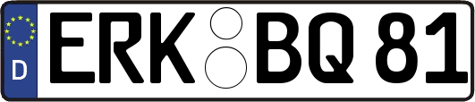 ERK-BQ81