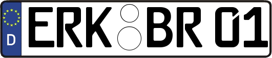 ERK-BR01