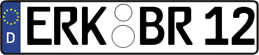 ERK-BR12