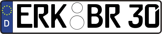 ERK-BR30