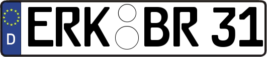 ERK-BR31