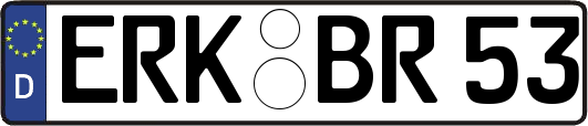 ERK-BR53