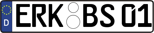 ERK-BS01