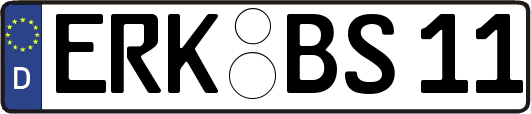 ERK-BS11