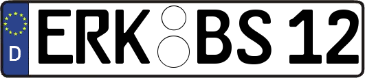 ERK-BS12