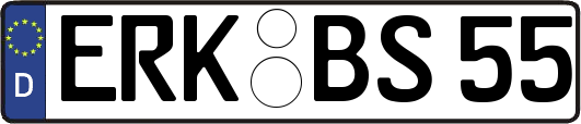 ERK-BS55