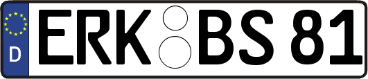 ERK-BS81
