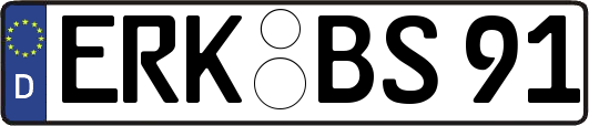 ERK-BS91