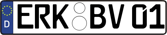 ERK-BV01