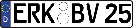 ERK-BV25